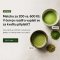 Proč není matcha jako matcha?