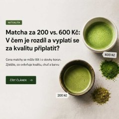 Proč není matcha jako matcha?